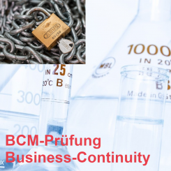 IT-Business-Continuity-Prüfung 